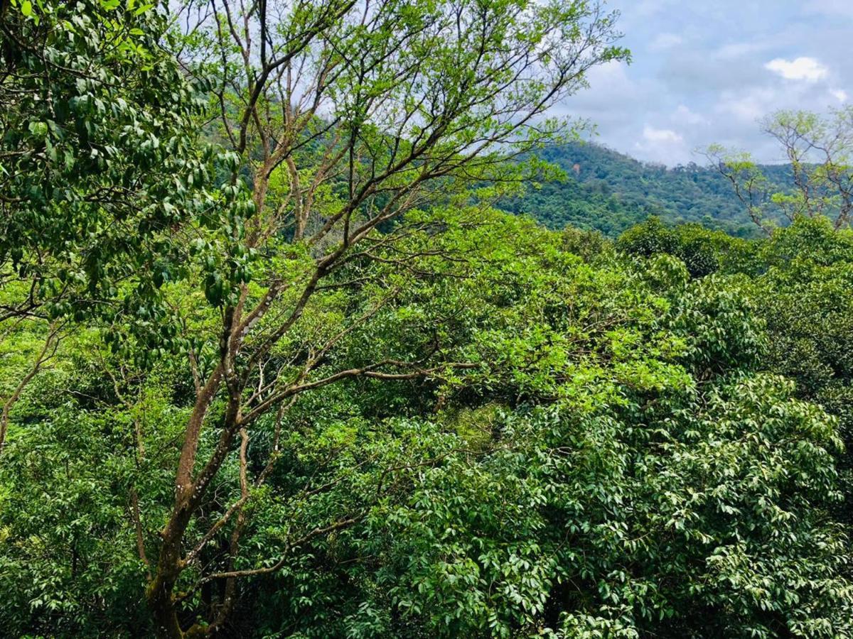 Coorg Wilderness Resort&Spa Madikeri Exterior foto